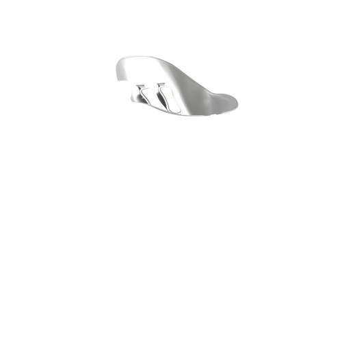 lunar silver | variant=lunar silver, view=newborn
